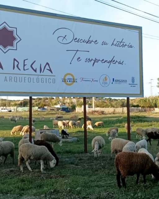 Nuevo cartel del Yacimiento Arqueológico AstaRegia